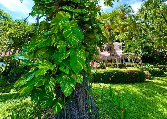 Villa Casa Descanso Del Pescador Garza